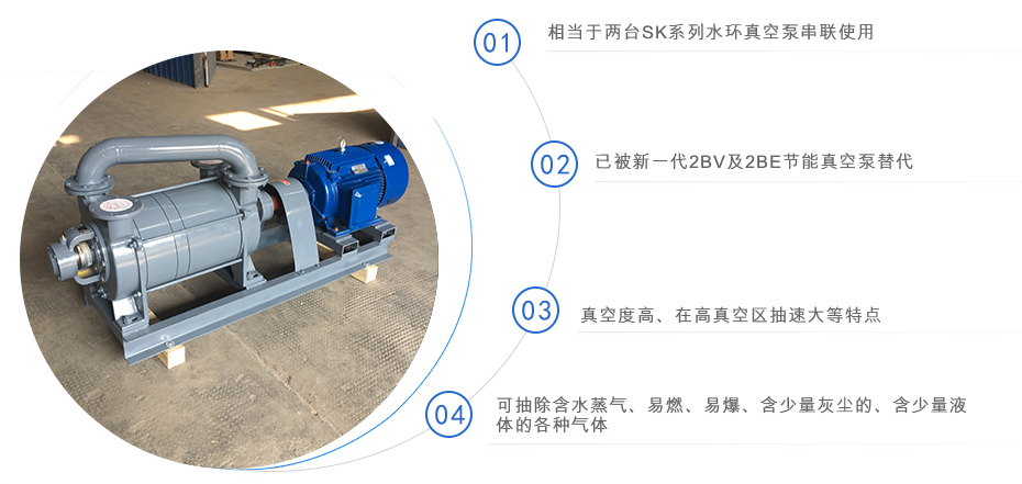 2SK系列水環式真空泵